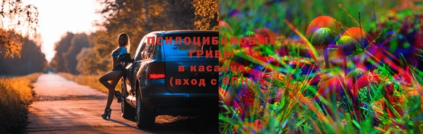 марки lsd Балабаново